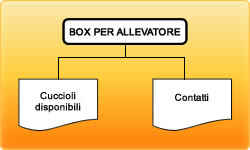 Box allevatore