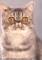 Exotic Shorthair