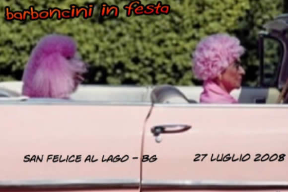 Festa barboncini