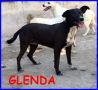 REGALO Glenda 6 anni 12kg