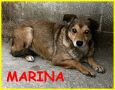 REGALO MARINA 7anni di gabbia e solitudine  rassegnato