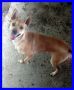 REGALO MONTY tg piccola dolce e solare aspetta ancora