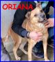 REGALO ORIANA coccolosa patata 5 anni ancora nessuno