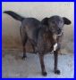 REGALO Patroclo 9-10anni 12kg 