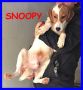 REGALO SNNOPY cucciolone mix beagle 1 anno sogna una
