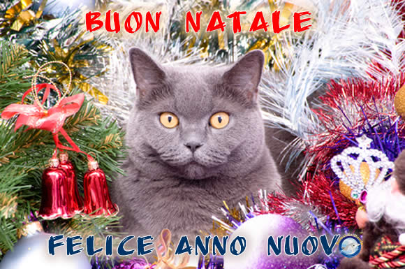 Buon Natale e Felice Anno Nuovo