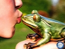 il rospo e la principessa
