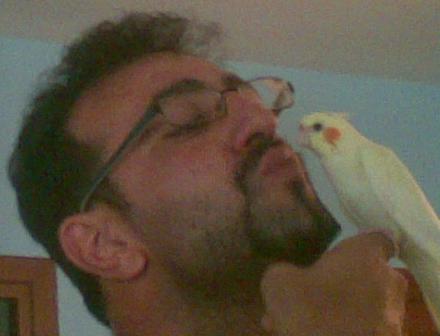 Pappagallini