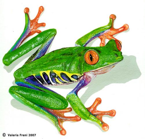 Ritratti di Animali