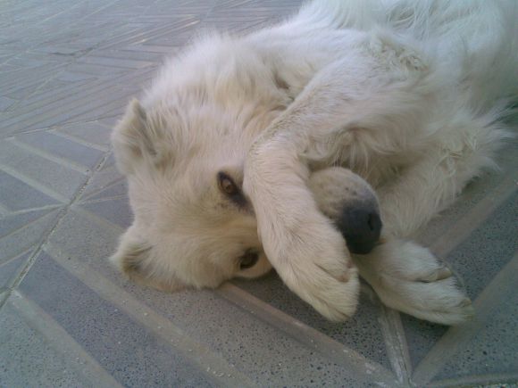Luky