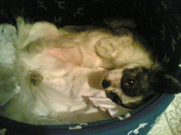 Athos 