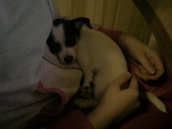 Lilli