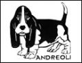Allevamento Bassethound de'Andreoli