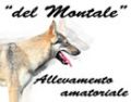 Lupi del Montale