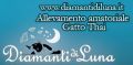 Diamanti di Luna