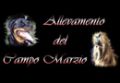 Allevamento Domino D'Incanto