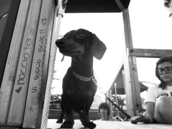 Filippo