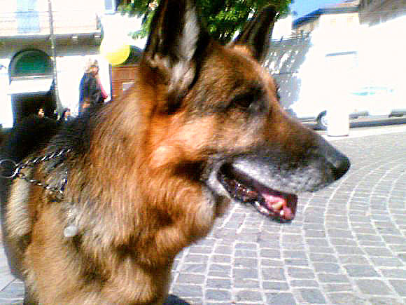 Buck degli Achei