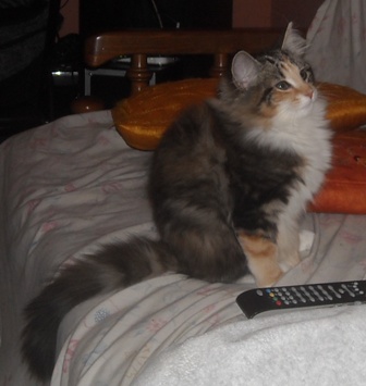 La nostra Jenny