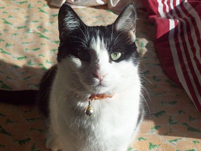 Minnie