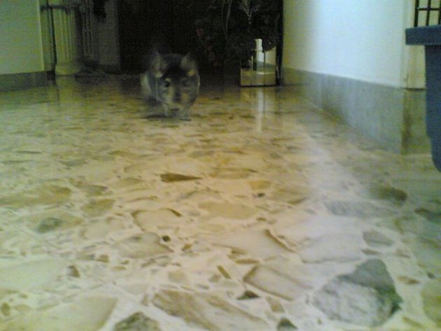 Il mio Lilo