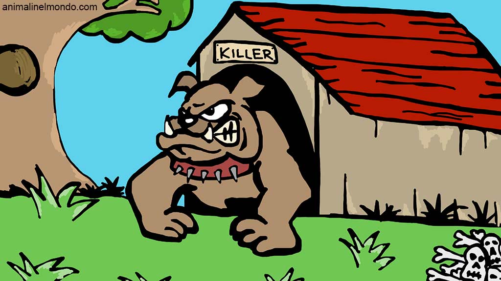 Il cane da guardia e l’importanza della socializzazione