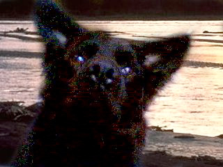 Charlie