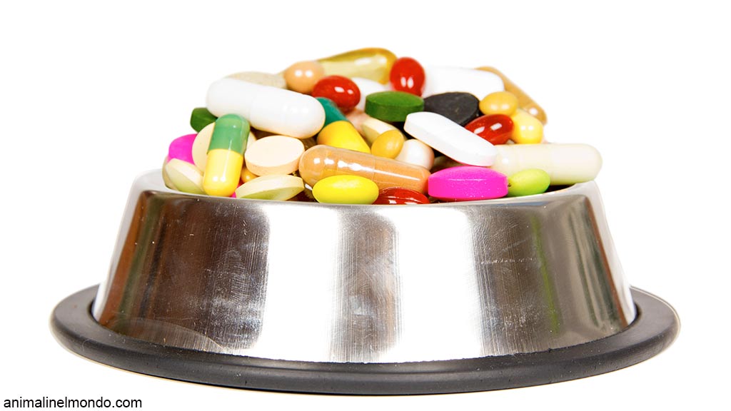 Nuovo studio sugli effetti comportamentali dei farmaci sui cani
