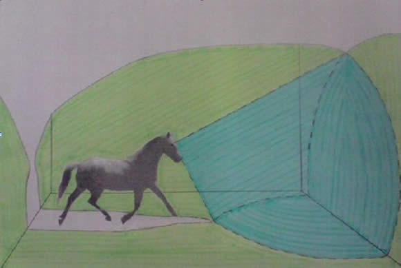 La vista figura 7