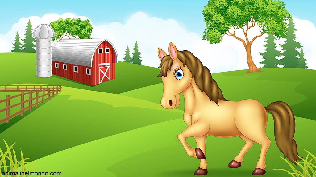 Guida all’acquisto del cavallo
