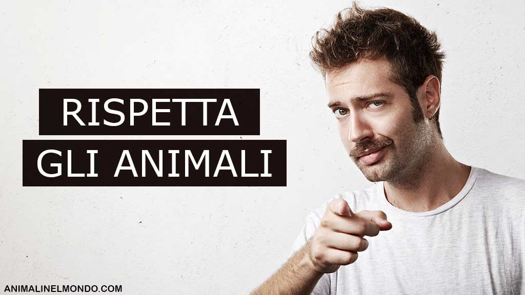Tutela e rispetto degli animali