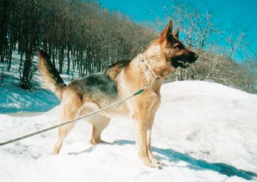 Kyla e Lara sulla neve
