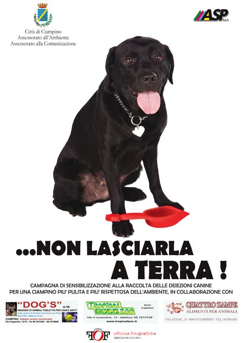 Non lasciarla a terra