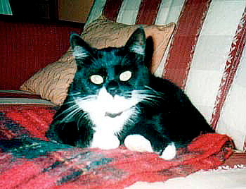 Morris