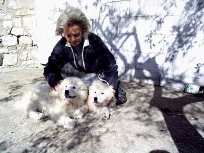 Pastore Maremmano Abruzzese