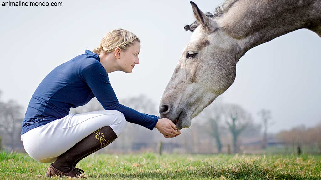 Primi periodi con il cavallo