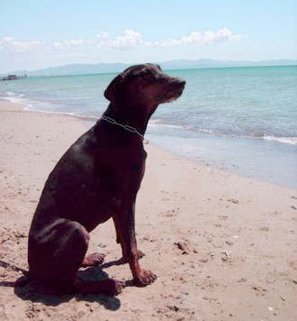 Renè