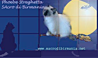 Halloween e i cuccioli