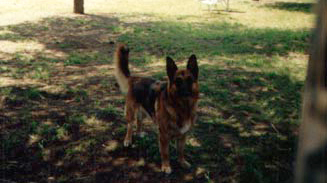 Thelma
